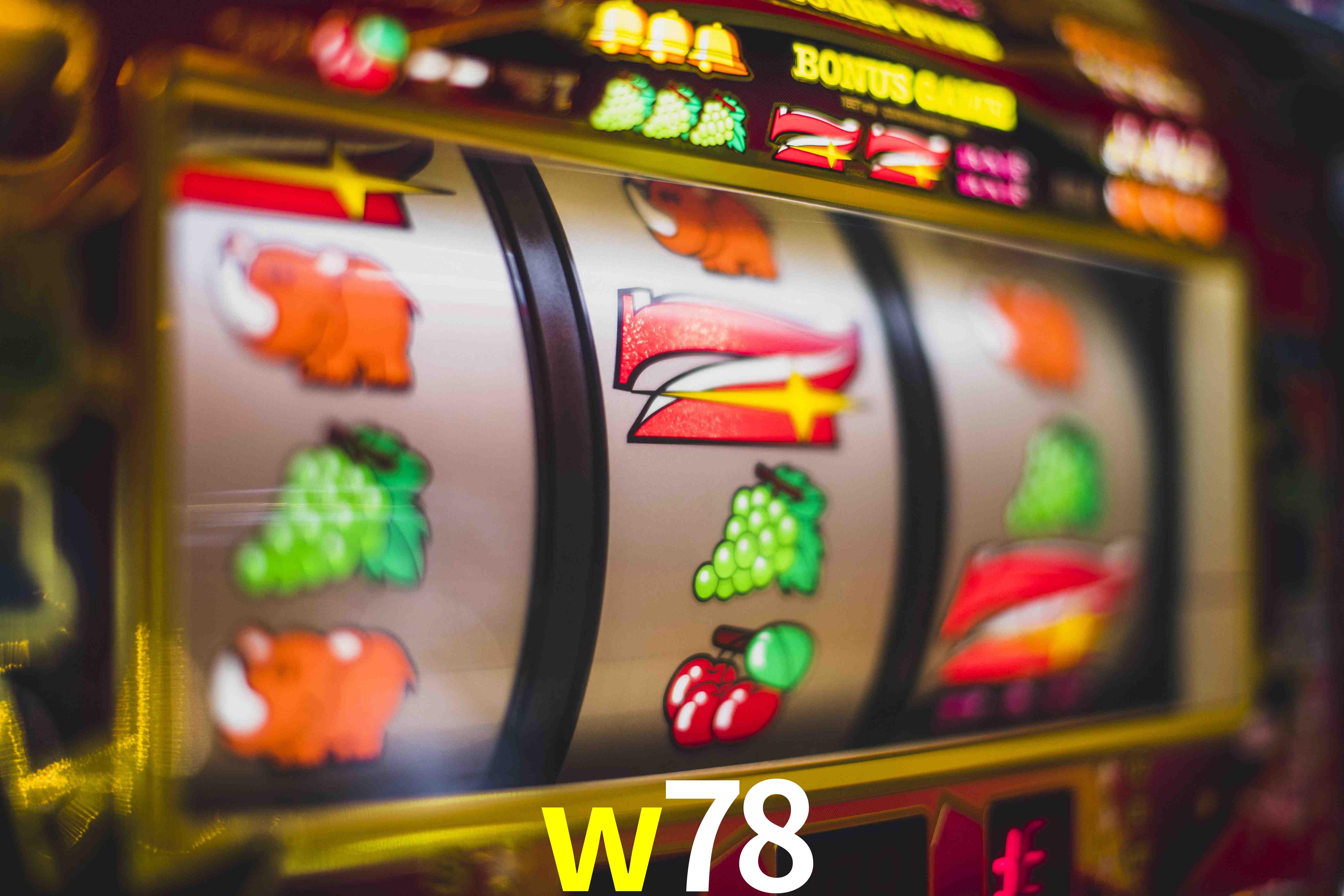 VIP Casino w78